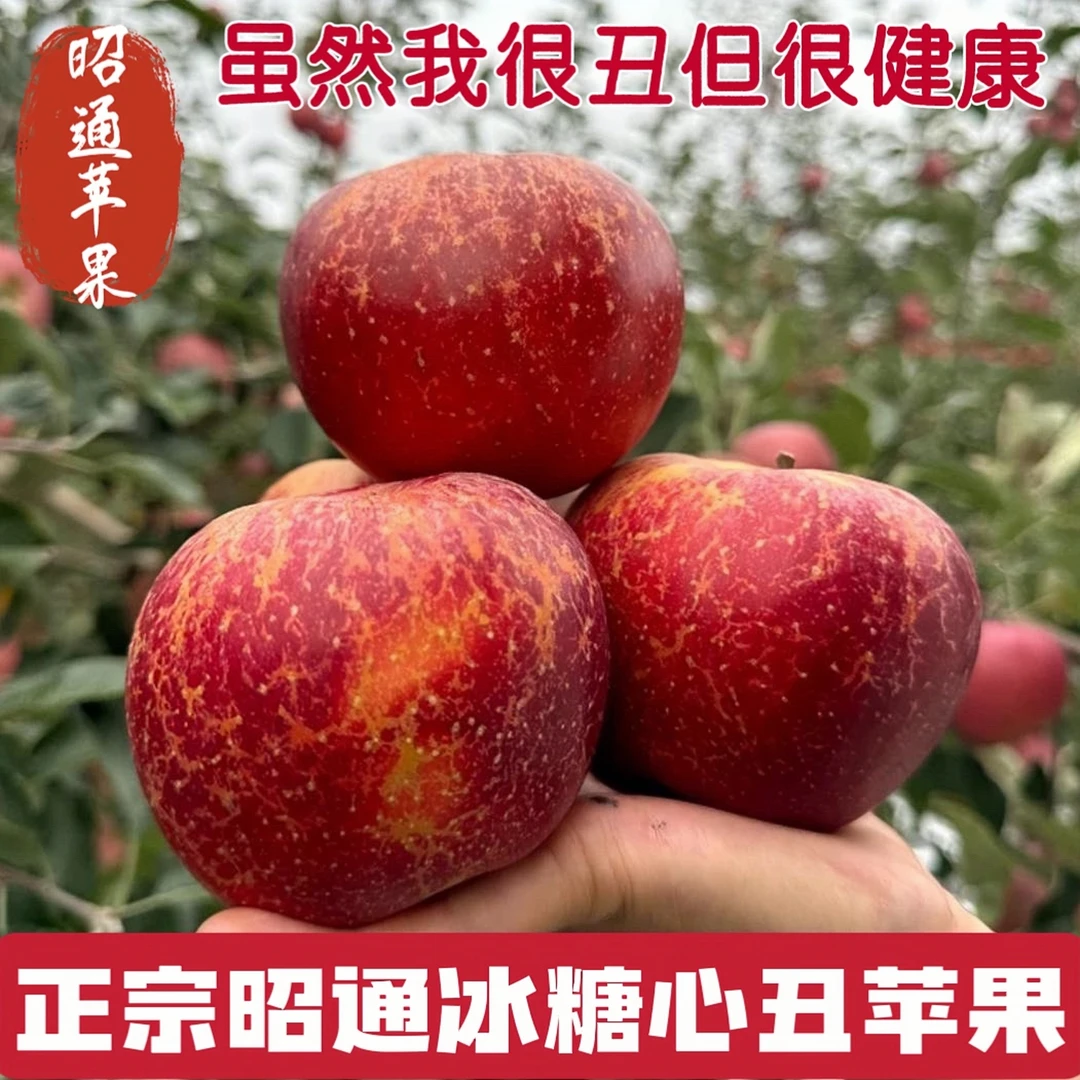 正宗云南昭通冰糖心丑苹果孕妇水果产地自家果园现摘现发脆甜多汁