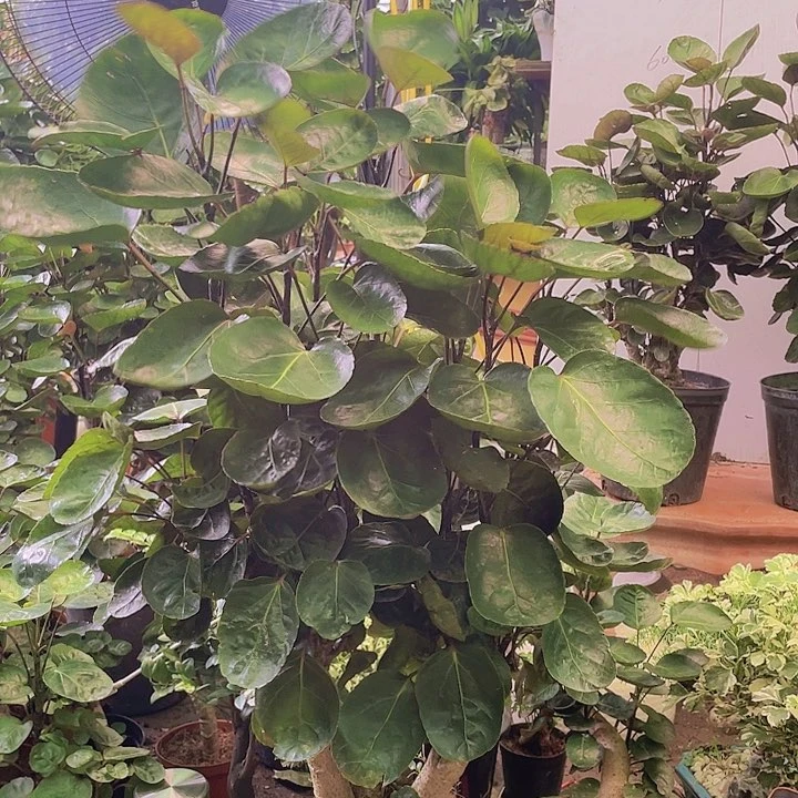 完全开放qqqqqqqqqqqq