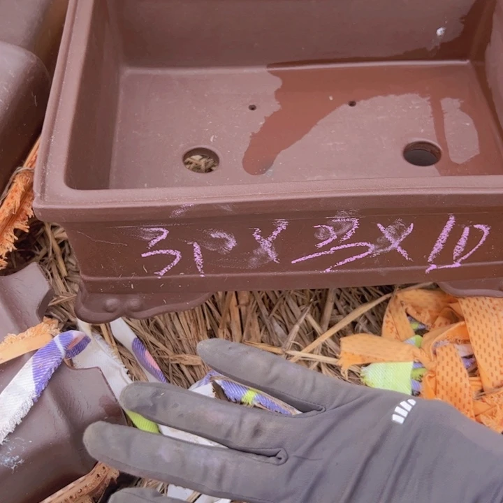 瑕疵吃微笑吃完瑕疵吃下颤颤