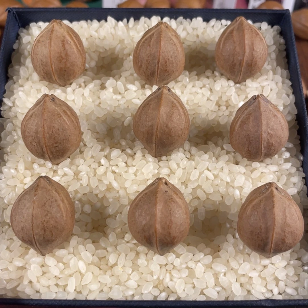 橄榄核手串风***。梅林铁核母树核手串