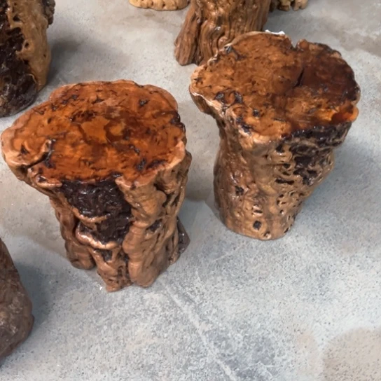 斑***鹿新郑枣木四十三四高度