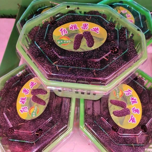 【同城配送】桑葚果一盒