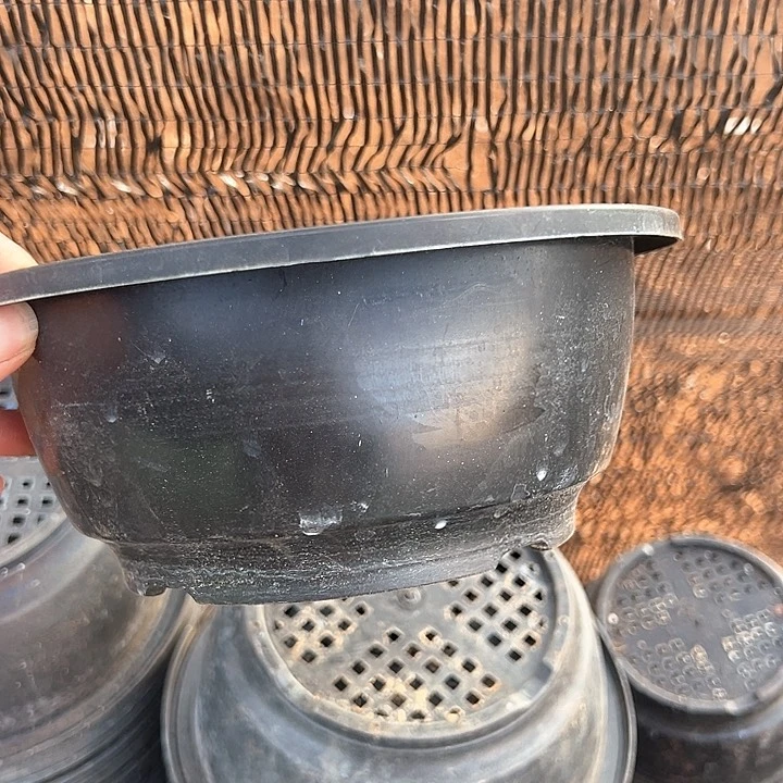 塑料口径20 高度9 磨砂韩盆一组16个