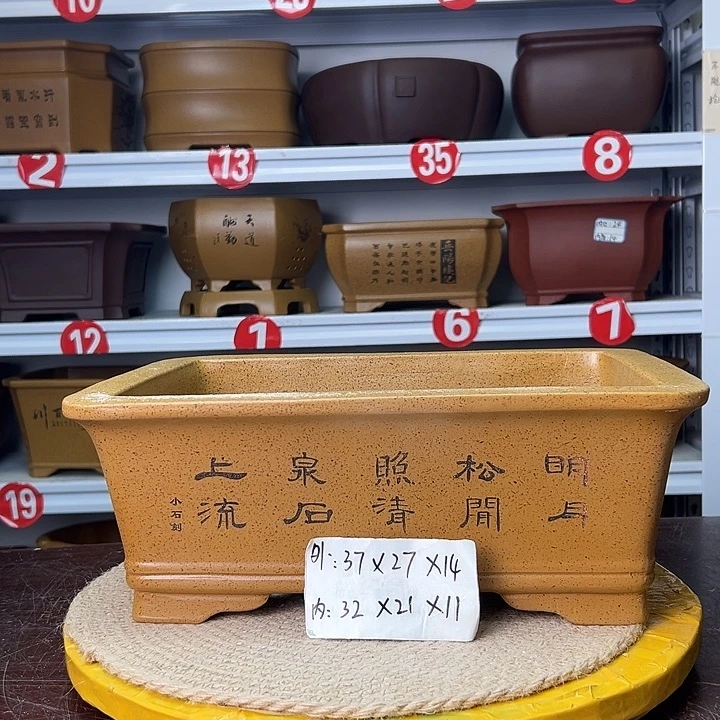 花盆紫砂蛇年大吉