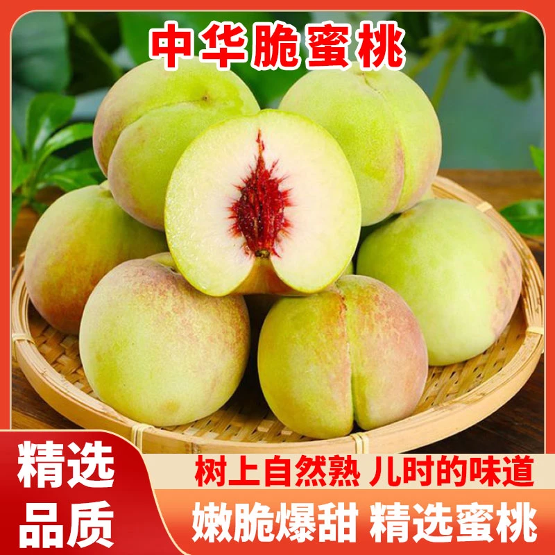 山东蜜桃新鲜脆甜多汁离核红心应季水果现摘现发