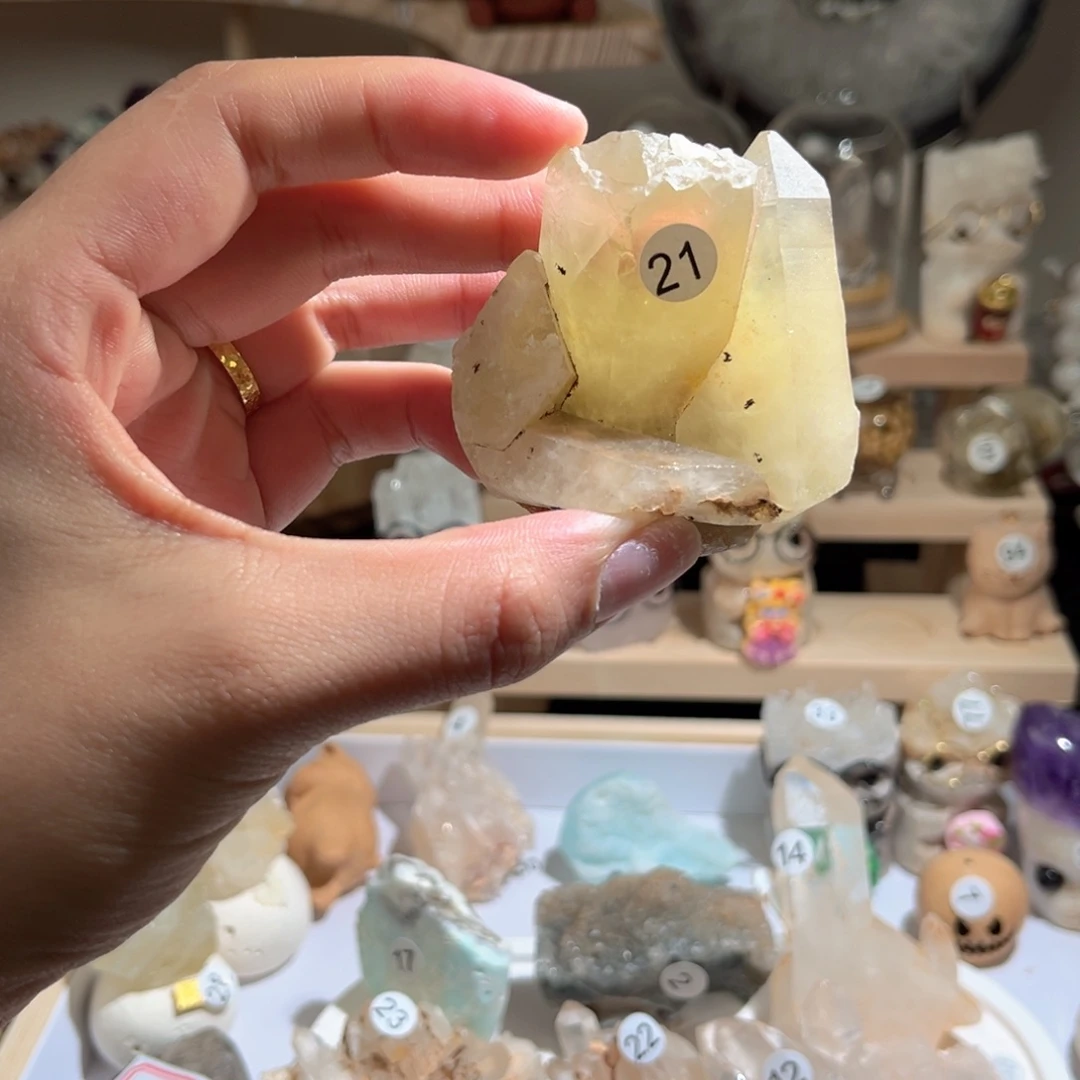 P***I陶瓷0000000000021