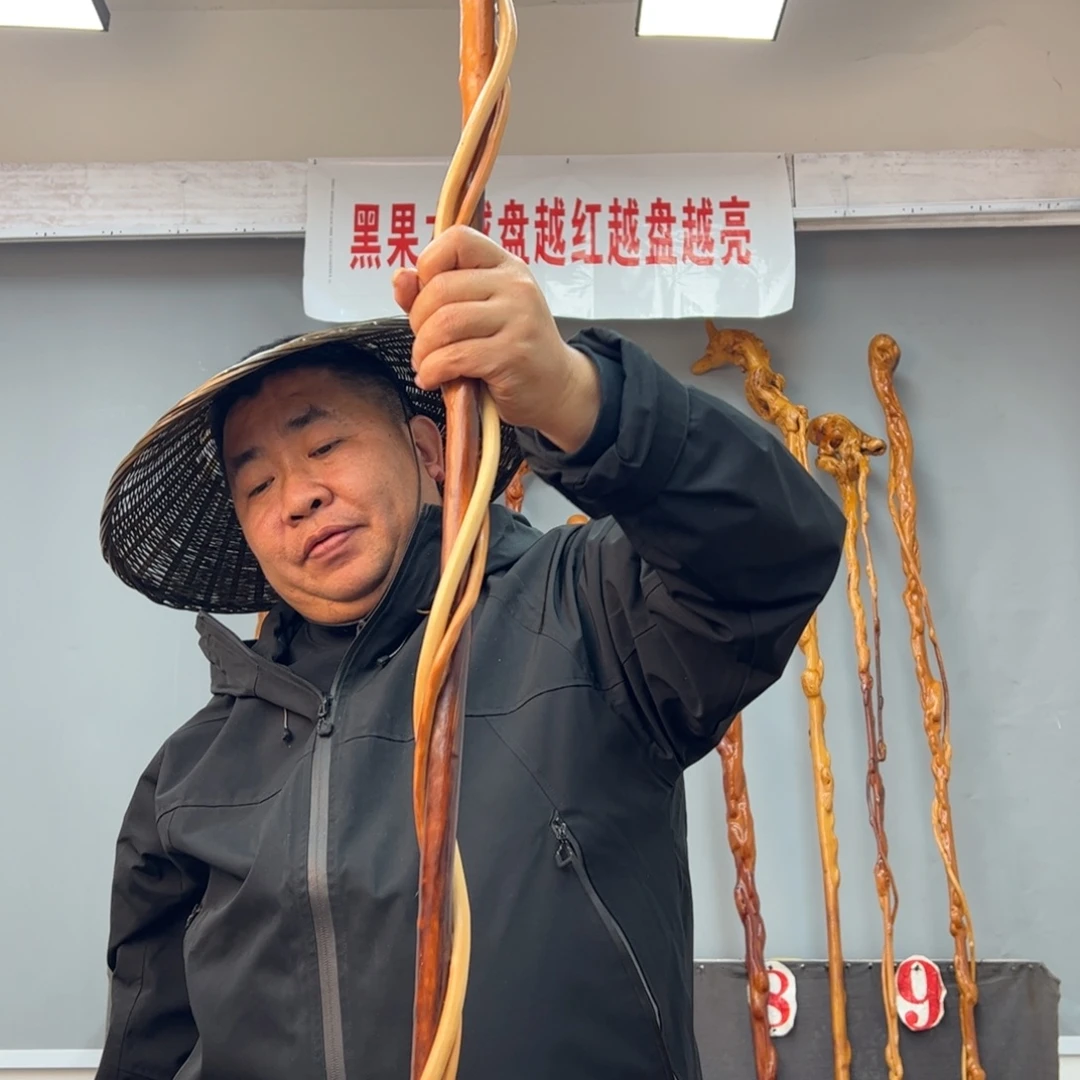 黑果木其他湛*宝黑果木888