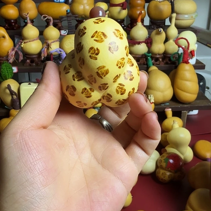 *****紫霞仙子豹纹金蝉