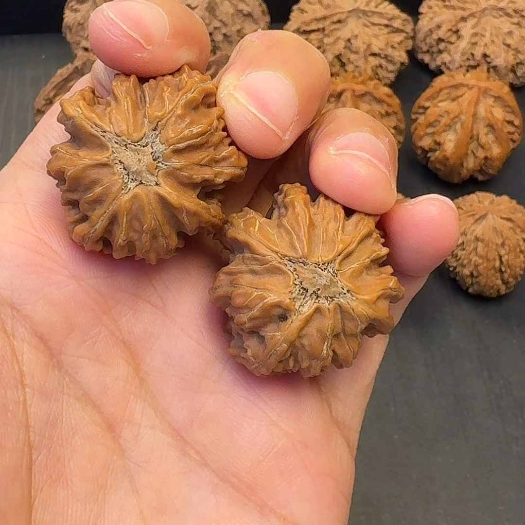 玖***●核桃突突突突突突突突突突突突突突
