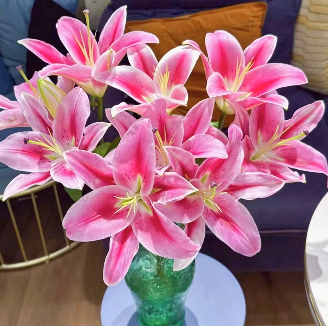 【劳轮斯香水百合】【任意两单顺丰冷链包邮