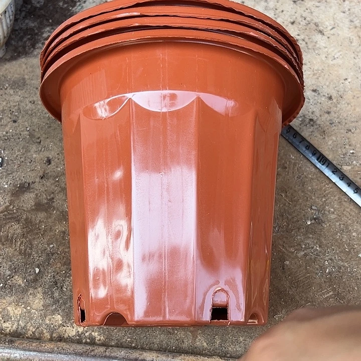 红砖口径22.5高20发12个