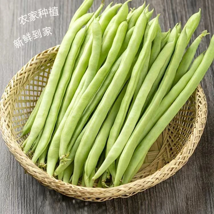 【四季豆】江西本地农家露天四季豆新鲜采摘时令蔬菜