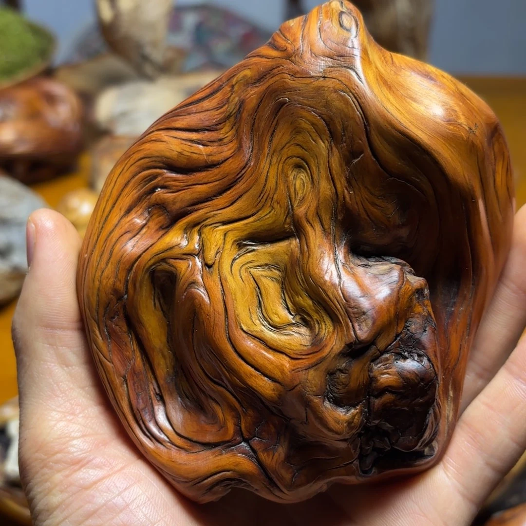 柏木（崖柏）迈*6767676757574895