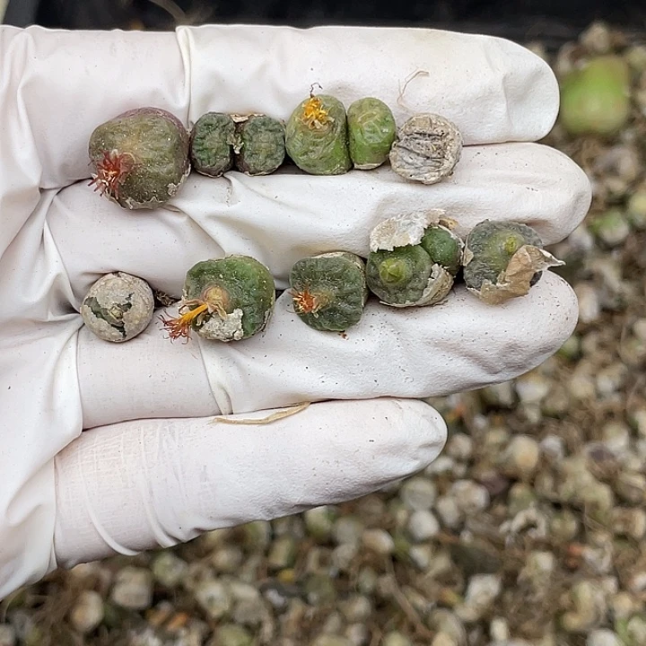 481兔兔投资亿元亿元亿元