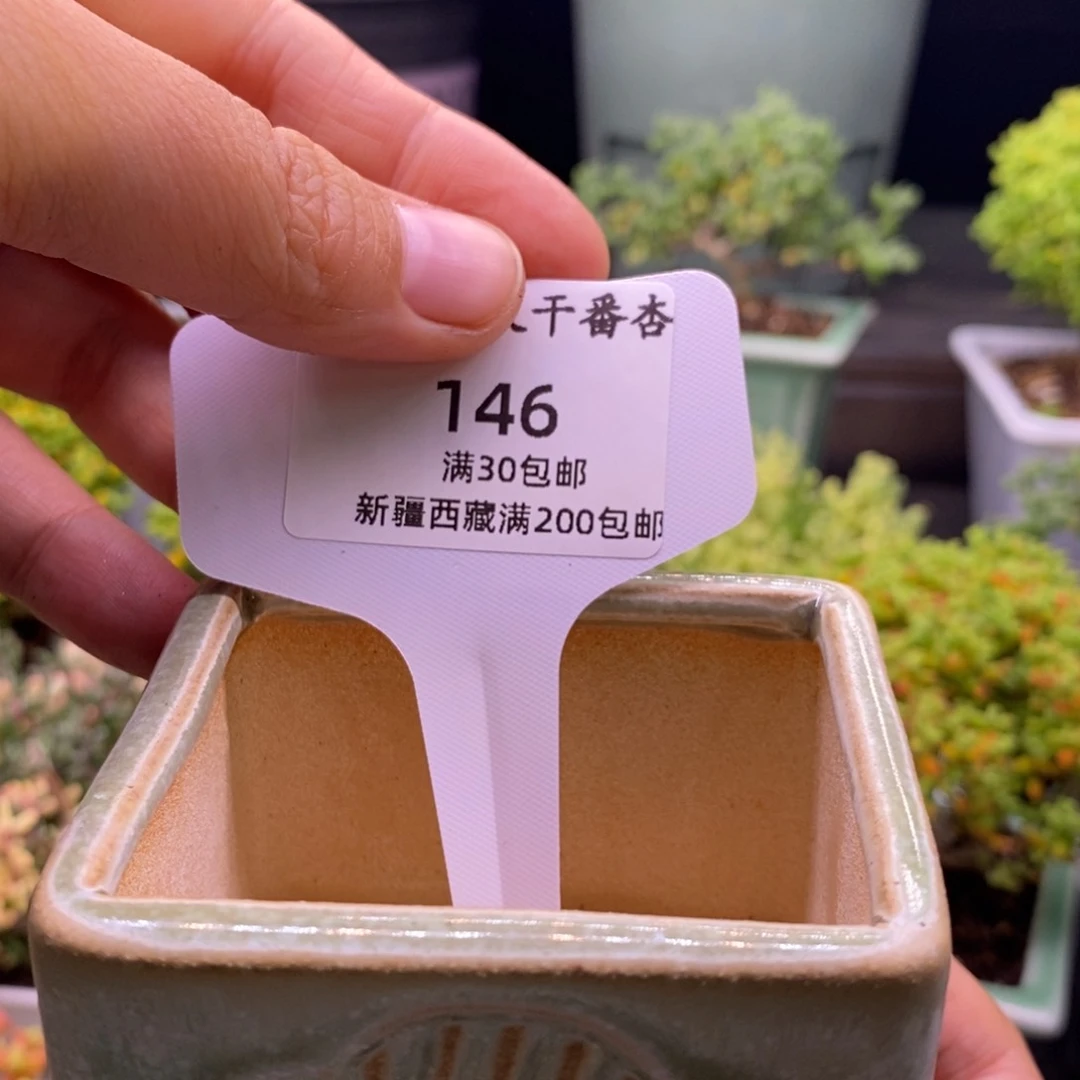 珊**146盆。