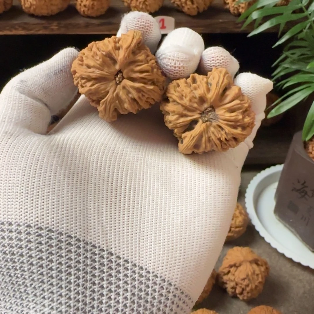 文玩核桃把件南将石39带黄