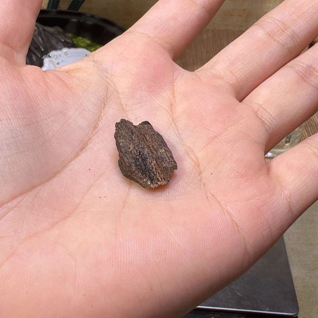 香榧木海南木料大山沉水老料0.7克