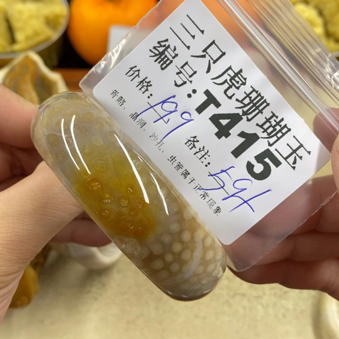 硅化珊瑚（珊瑚玉）1未镶嵌Q*