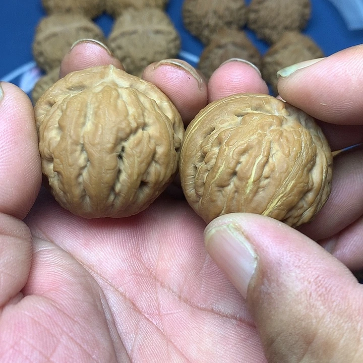 文玩核桃把件41尺闷球霸王龙