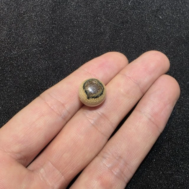 【地主专属】26 G54782-猛犸单珠-多样性发其一-13mm左右