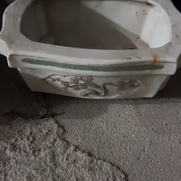 小***建瓷片明玉家的老物件