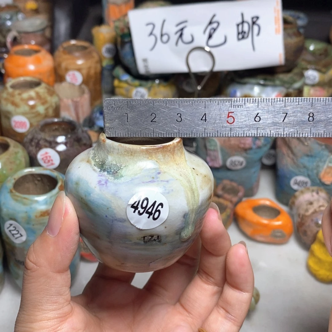 拍5送一个小礼物