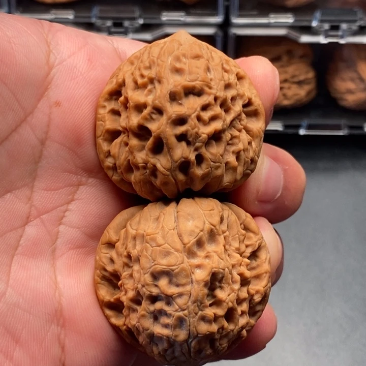 核桃41尺寸全品大团圆