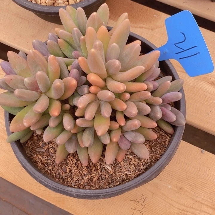 是吗这不还没有下班我