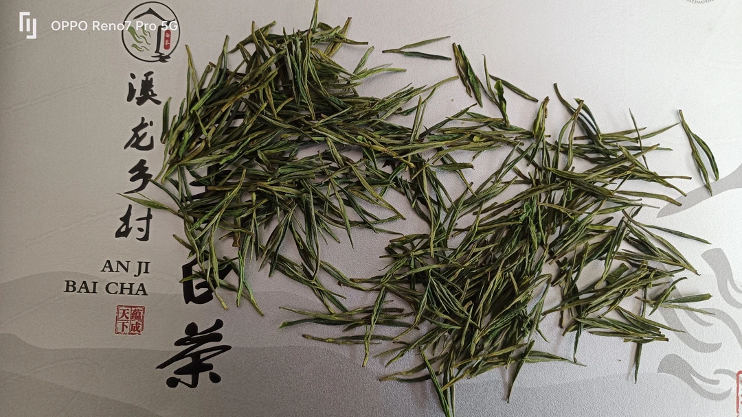 2025年安吉白茶 CA②【378 晶龙白茶】溪龙产地自产自销