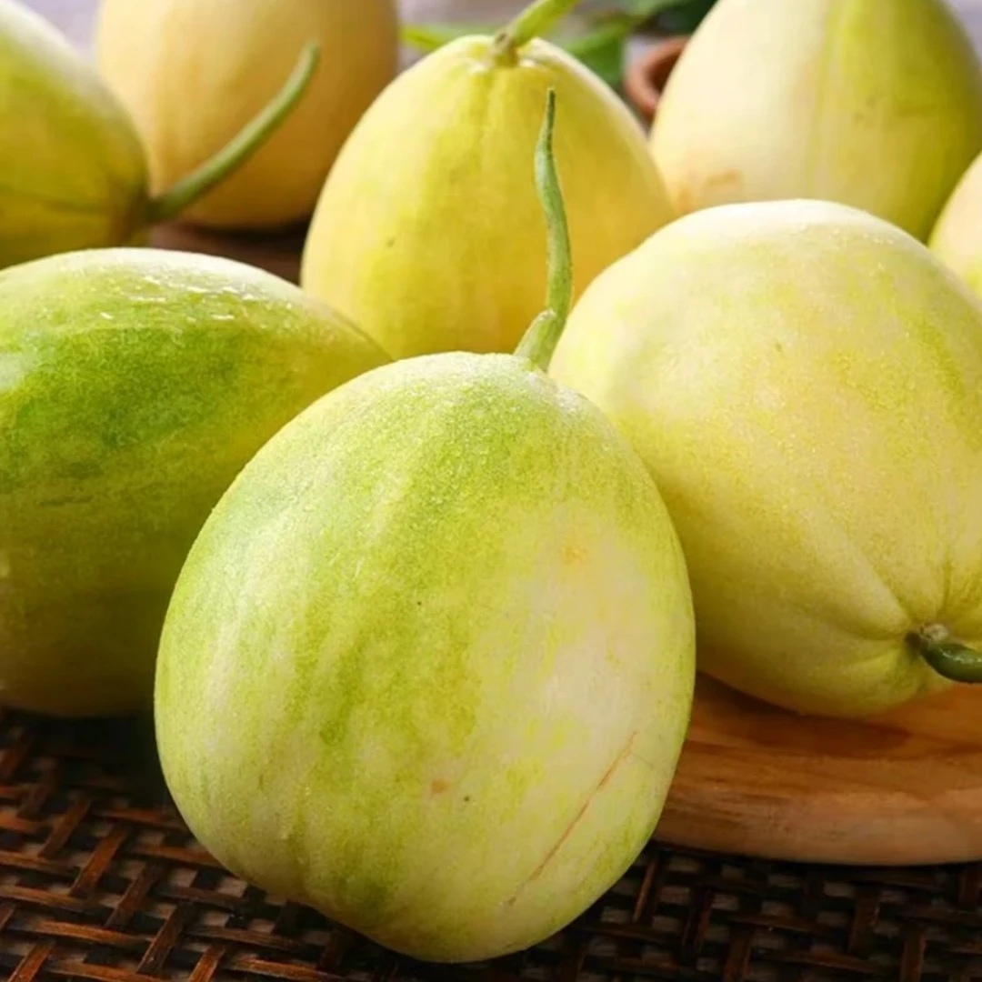 【泡沫箱发货】金妃香甜瓜3.2-3.5斤辽宁省