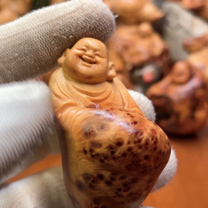 柏木太行崖柏乐乐