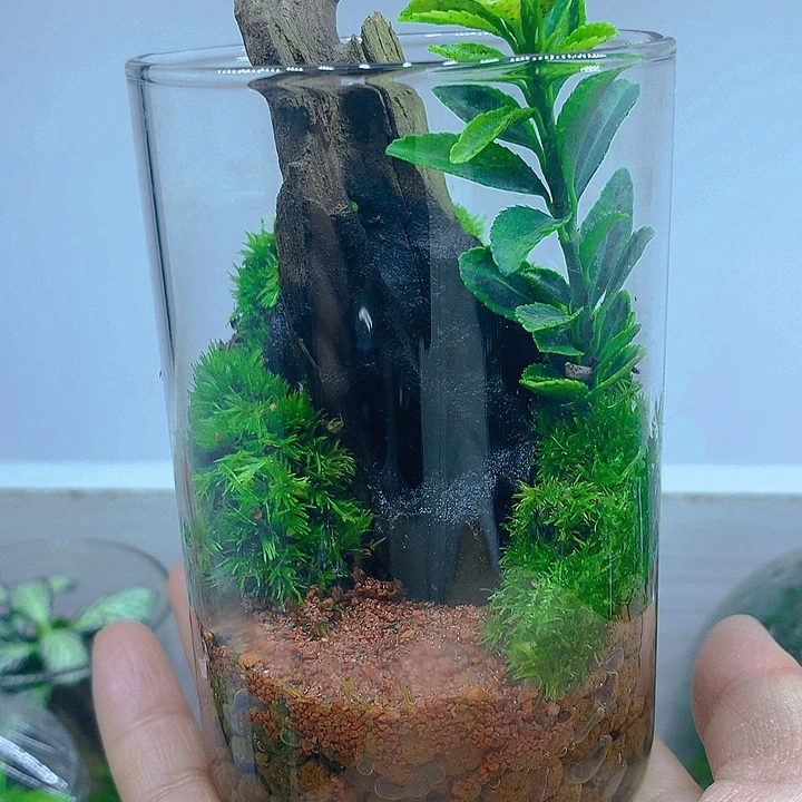 无花朵进新品小福利