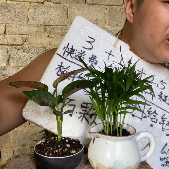 退款拉黑一物一拍110