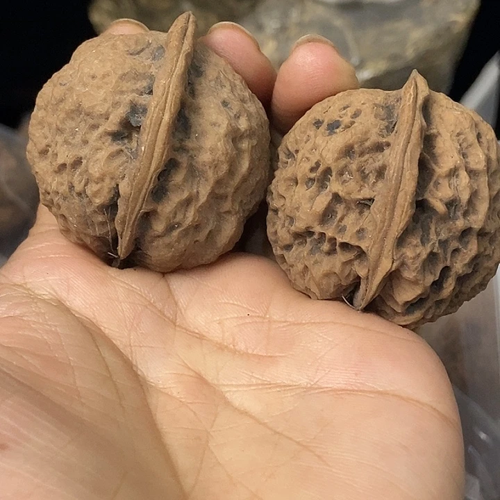 把件文玩核桃云南铁核桃基地77