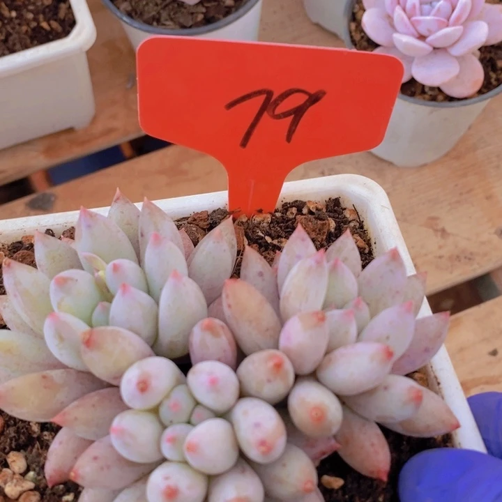 你就这样一直陪下去