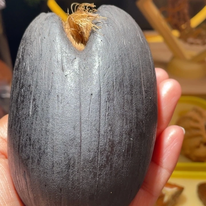 桃核把件海椰子爱情果