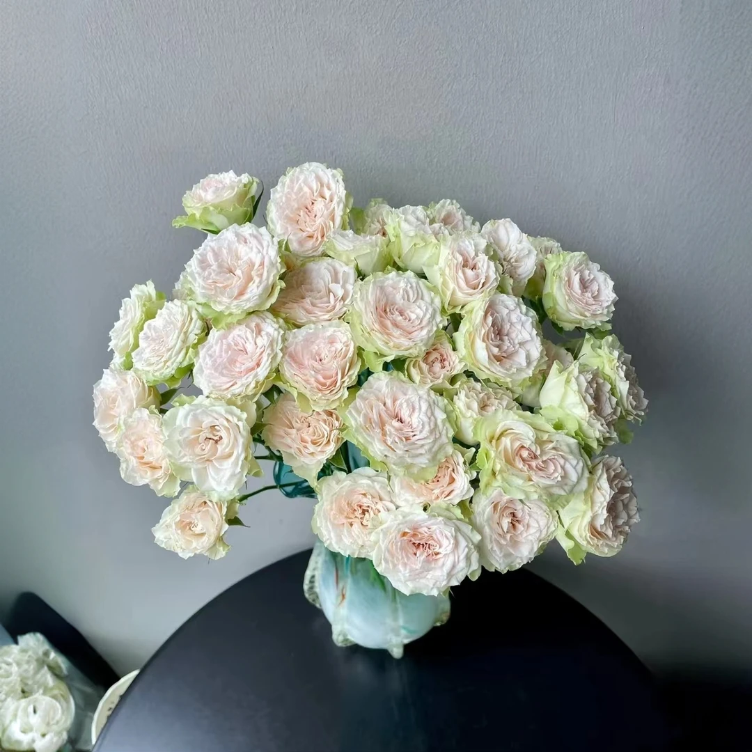 【迪瑞特】踏春来 云南基地直发玫瑰家用鲜花