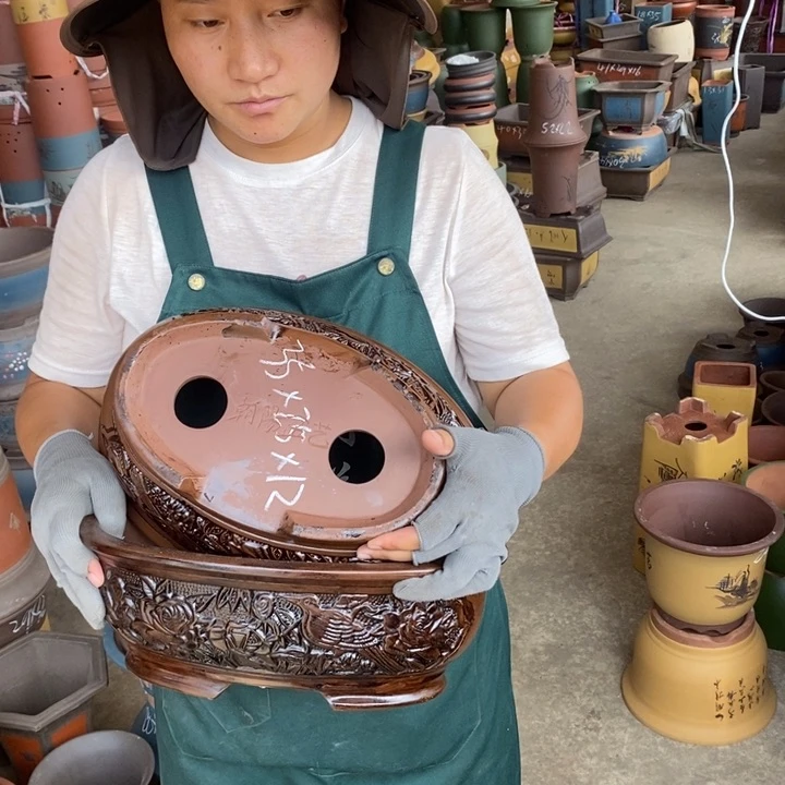 紫砂花盆盆栽花卉苗木种植