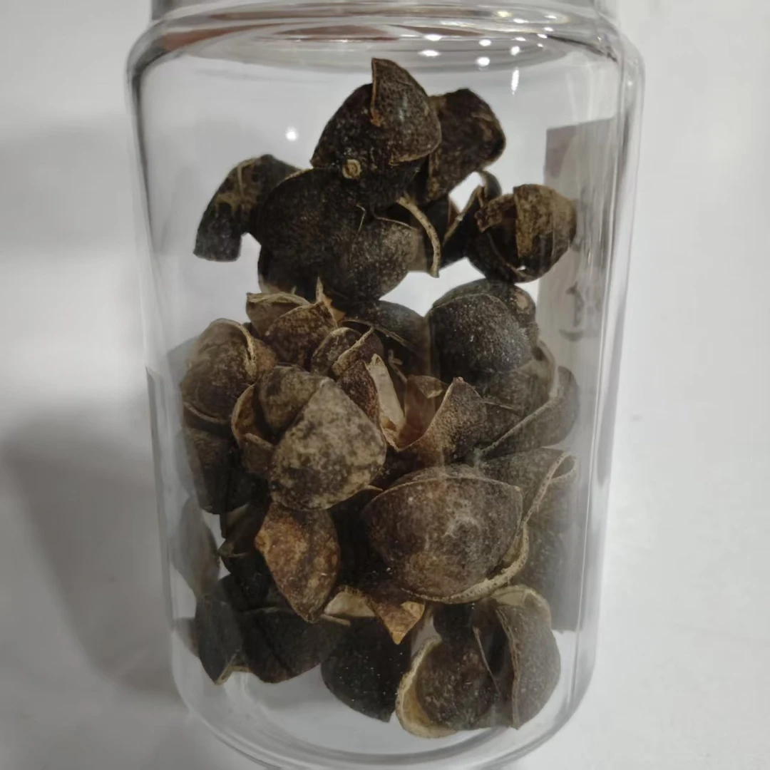 【四花青】2012东甲四花青陈皮 50g 100g  包邮