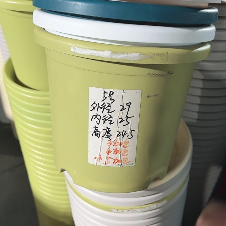 微瑕5#果绿6个无托