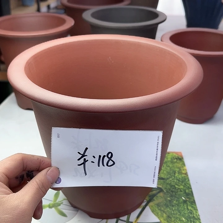 紫砂222222222222222222