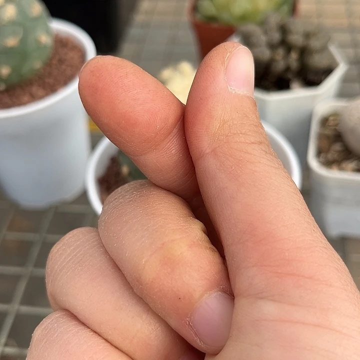 风***狂我也不知道我为什么要