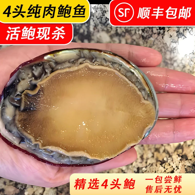 【超大4头鲍】 到手12-13只新鲜活剥鲍鱼净肉，1包500g以上