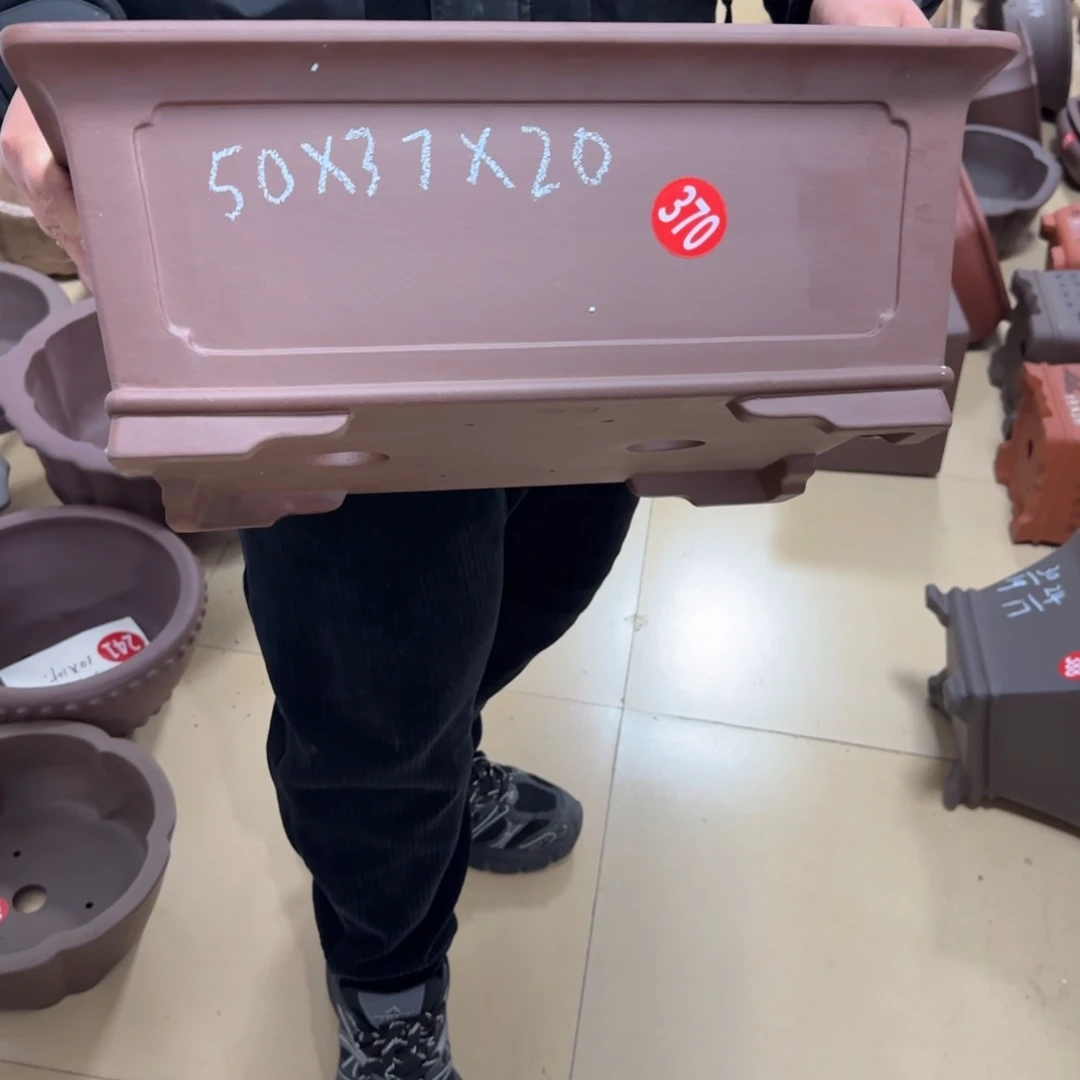 紫砂花盆我呜呜呜呜呜我