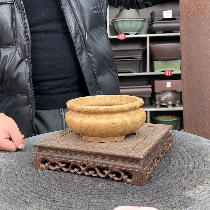 紫砂花盆藏*紫砂的味道很好