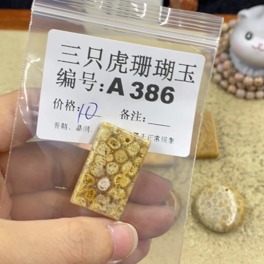 硅化珊瑚（珊瑚玉）1未镶嵌文****y