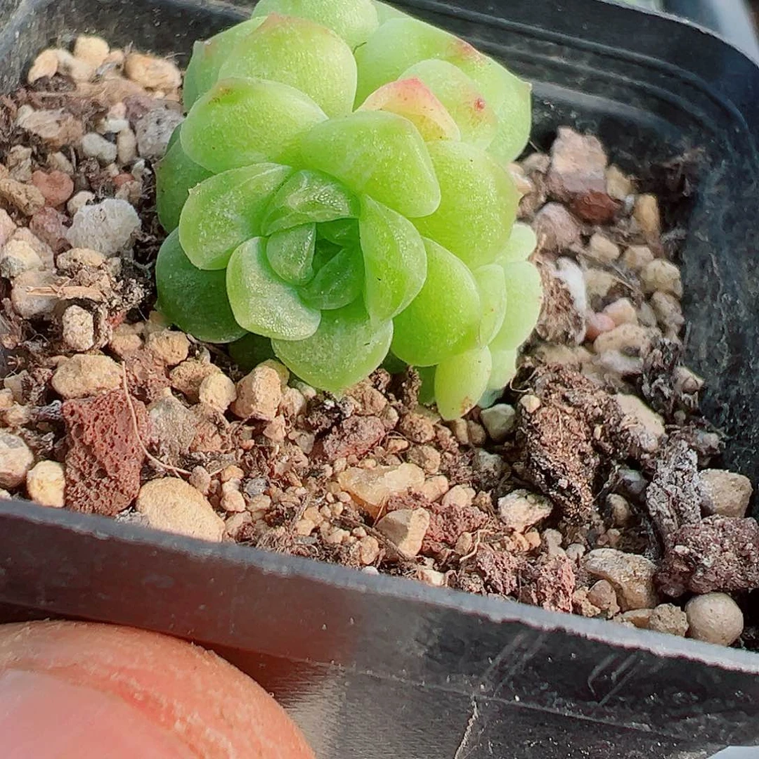 856哈哈哈哈哈哈哈哈我