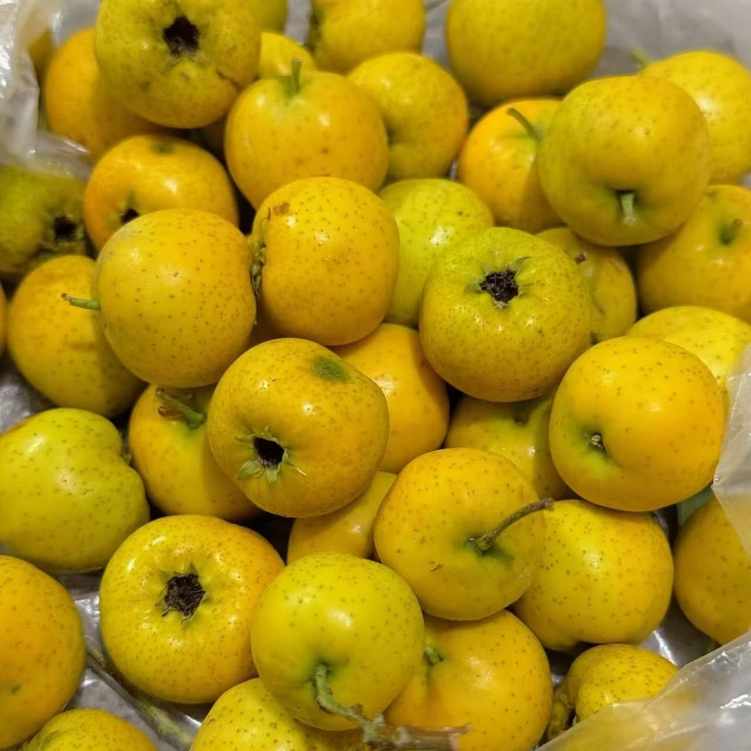 金如意黄山楂(2盒）