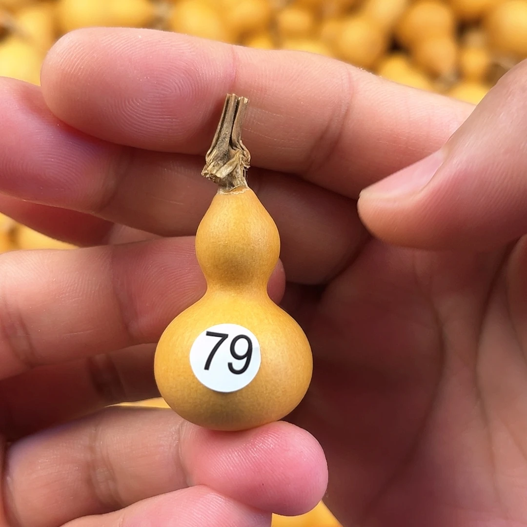 三葫芦葫芦葫芦葫芦 79