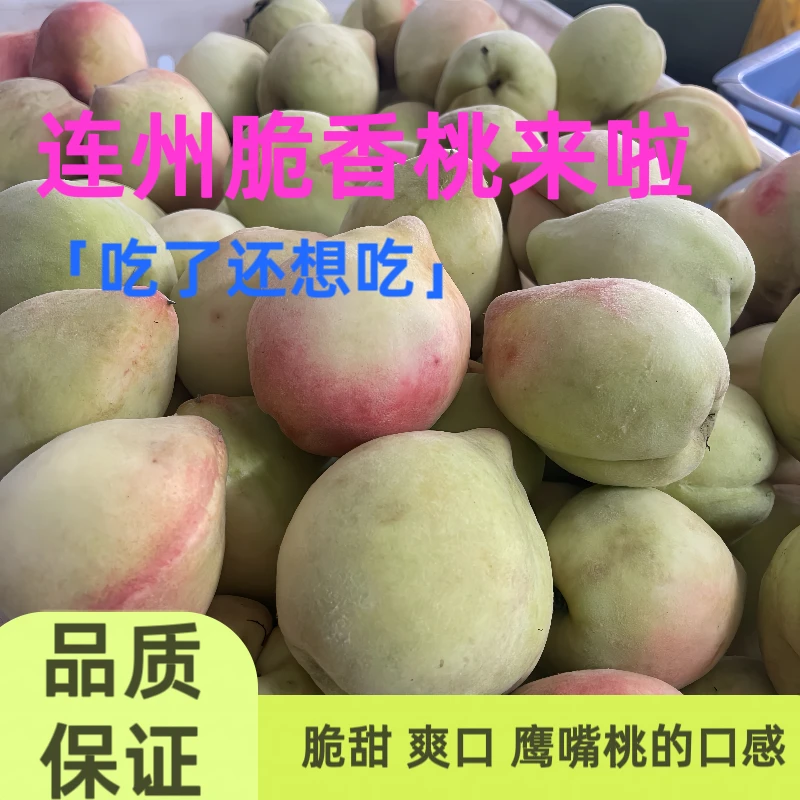 正宗广东连州脆香桃新鲜桃香桃毛桃香蜜桃水蜜桃脆甜当季时令水果